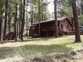 GREER CABIN KEEPERS image 8