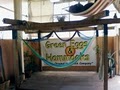 Green Eggs & Hammocks image 2