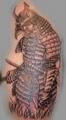 GrzHoprInk Tattoo's and Body Piercing (GrassHopper Ink) image 4