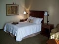 Hampton Inn Sidney image 9