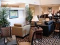 Hampton Inn & Suites - Jacksonville Airport image 6