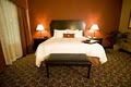 Hampton Inn and Suites Dallas-DeSoto image 10