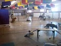 Happy Tails Doggie Day Care image 3
