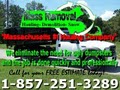 Hauling-Demolition-Snow Removal Services.............. by MASS REMOVAL image 2