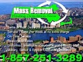 Hauling-Demolition-Snow Removal Services.............. by MASS REMOVAL image 7