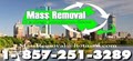 Hauling-Demolition-Snow Removal Services.............. by MASS REMOVAL image 10