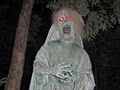Haunted Acres image 5