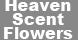 Heaven Scent Flowers image 6