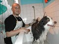 Heavenly Dog  Dog Wash Training Grooming image 6