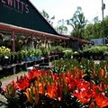 Hewitt's Garden Center Inc image 1