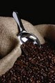 High Plains Coffee Roaster image 1