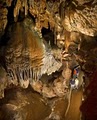 Historic Diamond Caverns image 2
