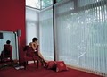 Hoffman's Window Fashions-Blinds image 5