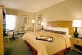 Holiday Inn-Dulles International Arprt image 2