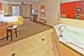 Holiday Inn Express Hotel & Suites Clinton image 4