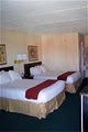 Holiday Inn Express Hotel Vidalia-Lyons Hwy image 3