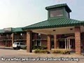 Holiday Inn Express Hotel Vidalia-Lyons Hwy image 1