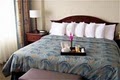 Holiday Inn Hotel Houston (Medical Center) image 4
