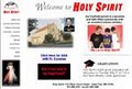 Holy Spirit Catholic School image 1