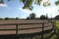 Horseplay Ranch image 4