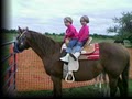 Horseplay Ranch image 7