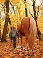 Horseplay Ranch image 8