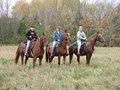 Horseplay Ranch image 9