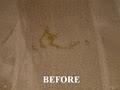 Host Dry Carpet Care - Carpet Cleaning image 3