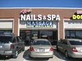 Hot Nails and Spa logo