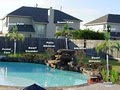 Houston Landscaper - Turf's Up Landscape, LLC. image 4