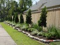 Houston Landscaper - Turf's Up Landscape, LLC. image 5