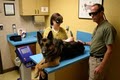 Huntington Veterinary Hospital image 5