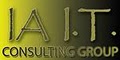 Iowa IT Consulting Group, LLC logo