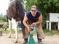 Jeremy McConnell Horseshoeing image 1