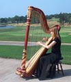 Kansas City Wedding Harpist image 2