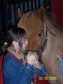 Klakahross Icelandic Horse Training Facility  in Oklahoma image 3
