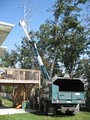 Korte Tree Care Jefferson City MO Arborist, Tree Service, Stump & Snow Removal image 3