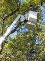 Korte Tree Care Jefferson City MO Arborist, Tree Service, Stump & Snow Removal image 6