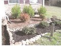 Lawns Plus LLC image 3