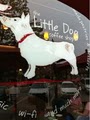 Little Dog Coffee Shop image 2