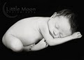 Little Moon Photography image 4