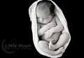 Little Moon Photography image 1