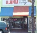 Lllreptile and Supply Company Inc: Oceanside Store image 4