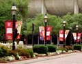 Lonestar Banners & Flags image 3