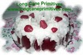 Long Cane Primitives image 8