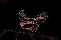 Ludy's Christmas Light Spectacular image 4