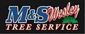 M & S Wesley Tree Service logo