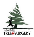 Maine Tree Surgery logo