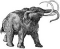 Mammoth Sound logo