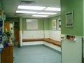 Manhattan Veterinary Group image 6